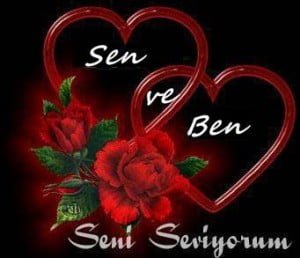 seni-seviyorum