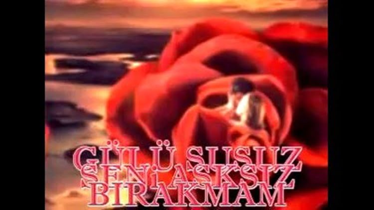 Gülü Susuz Seni Asksız Bırakmam Sarkı Sözleri